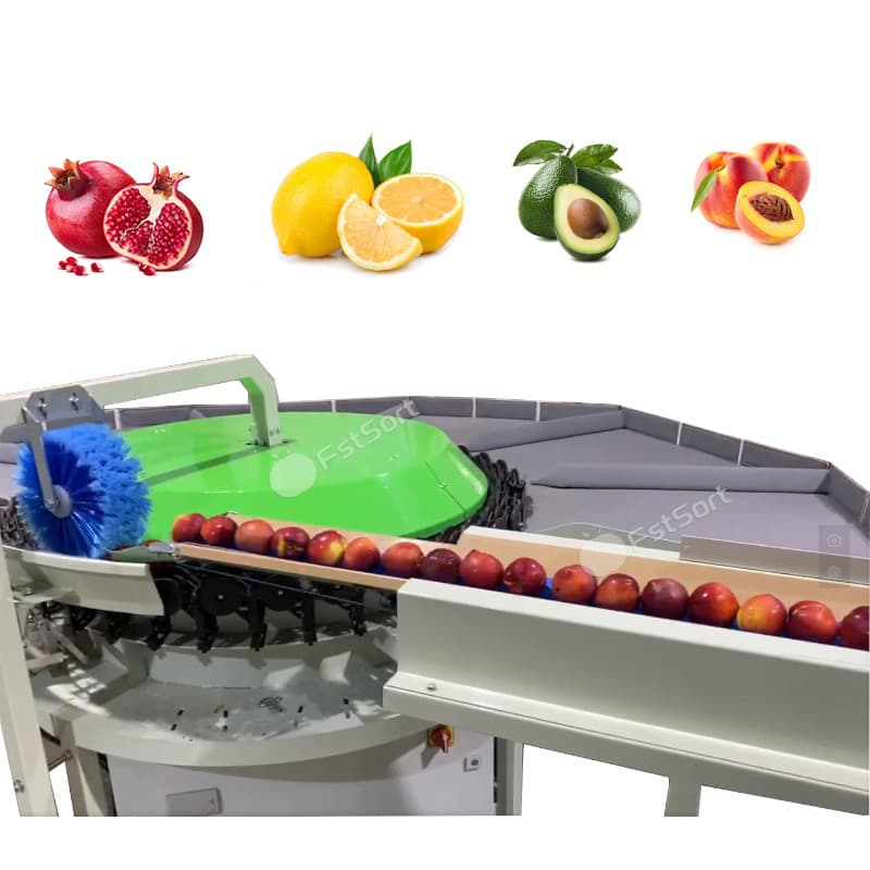 images/1764922958545pomegranate 1.jpg